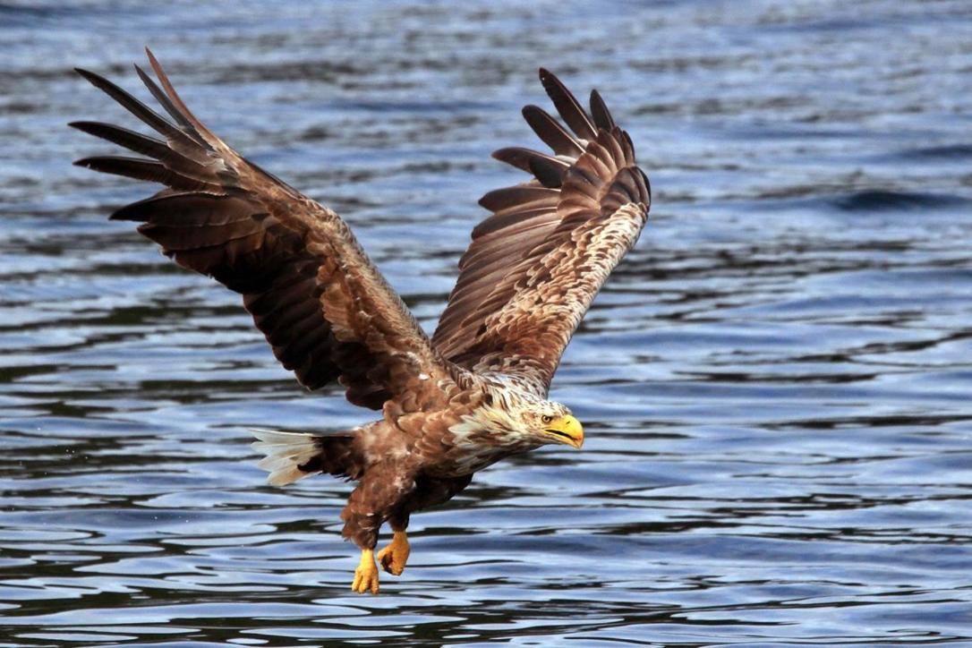 Angelas Fjord Suite Stamsund Zewnętrze zdjęcie